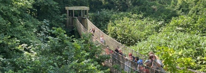 Matford Brook Academy Pupils on Paignton Zoo bridge 